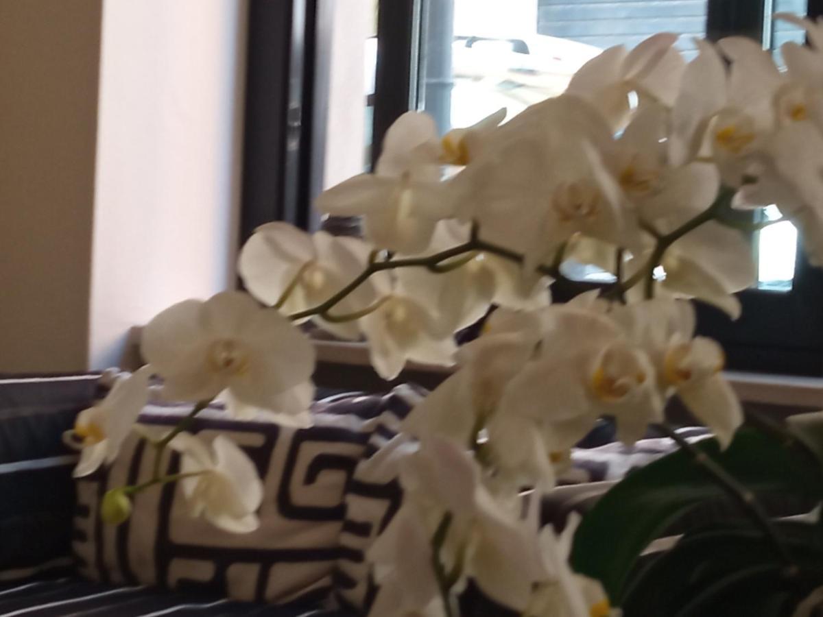 Hotel Touring Livorno Zewnętrze zdjęcie